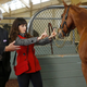 Image for article titled The New Girl showrunners on building the second season toward its “big kiss”—and the aftermath